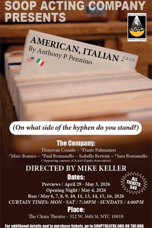 American, Italian (On what side of the hyphen do you stand?) poster