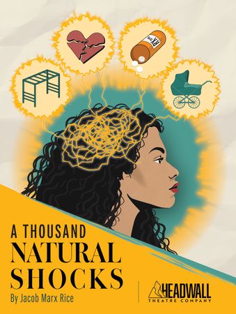 A Thousand Natural Shocks poster
