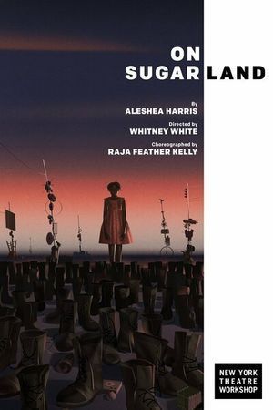 On Sugarland poster