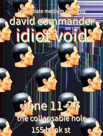 Idiot Void poster