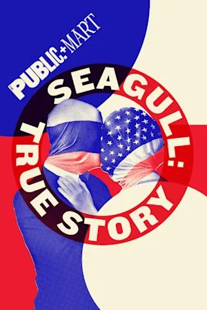 Seagull: True Story poster
