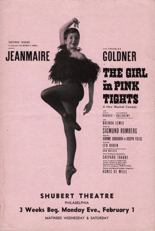 The Girl in Pink Tights poster