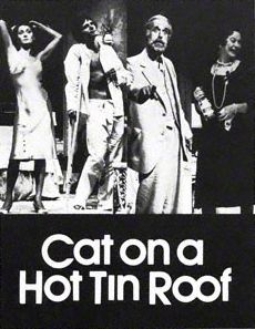 Cat on a Hot Tin Roof poster