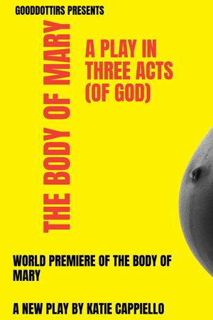 The Body of Mary poster