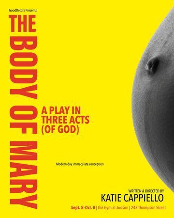 The Body of Mary poster