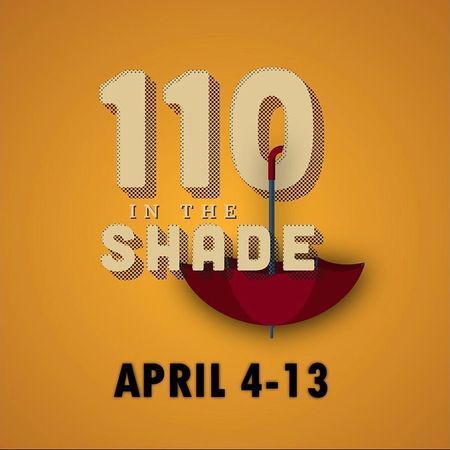 110 in the Shade poster