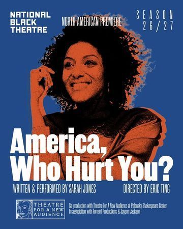 America, Who Hurt You? poster