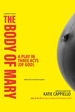The Body of Mary poster