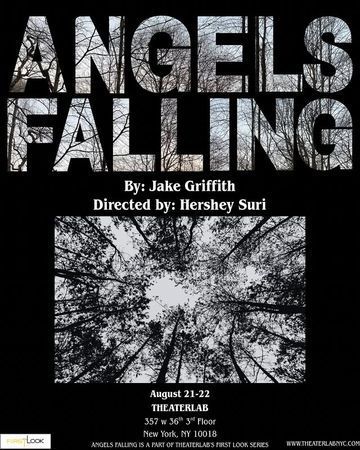 Angels Falling poster