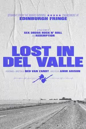 Lost in Del Valle poster