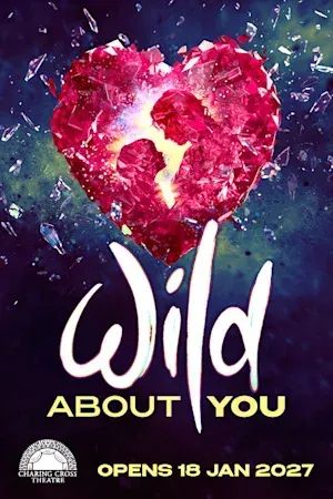 Wild About You poster