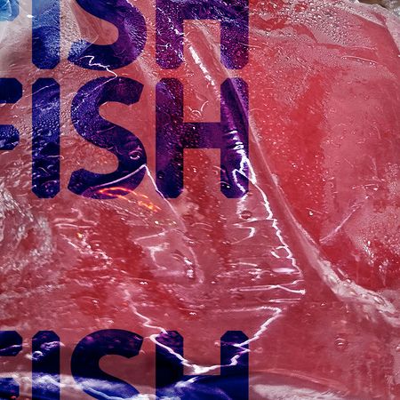 FISH poster