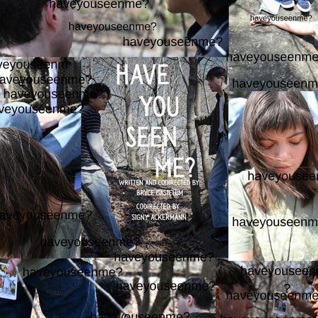 Have You Seen Me? poster