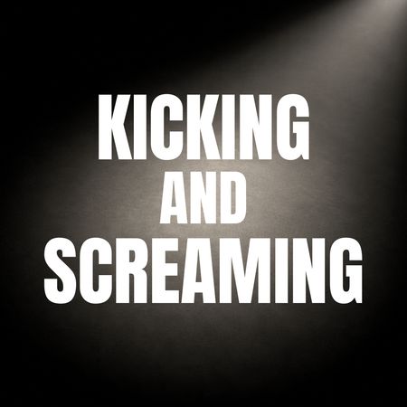 Kicking and Screaming poster