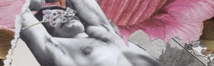 Late Blooming poster