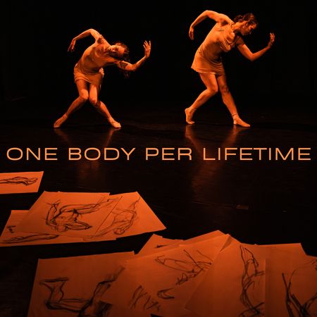 One Body Per Lifetime poster