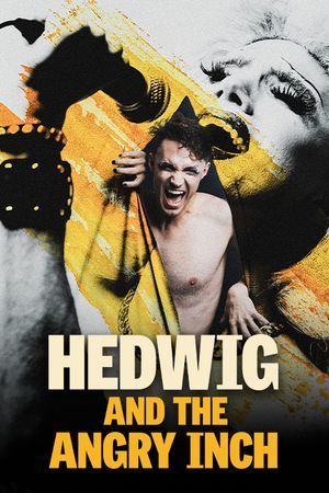 Hedwig and the Angry Inch poster