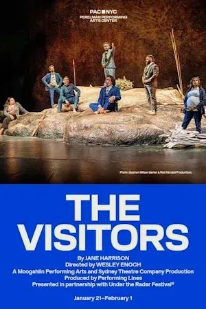 The Visitors poster