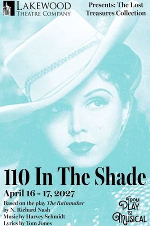 110 in the Shade poster
