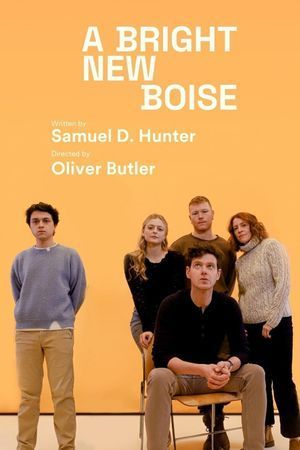 A Bright New Boise poster