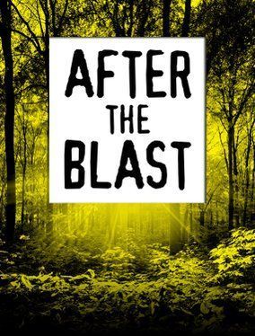 After the Blast poster