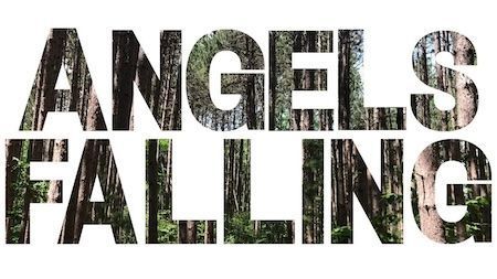 Angels Falling poster