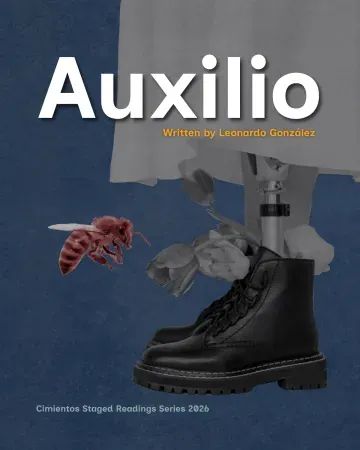 Auxilio poster