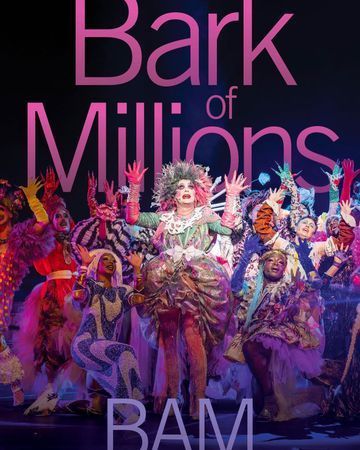 Bark of Millions poster
