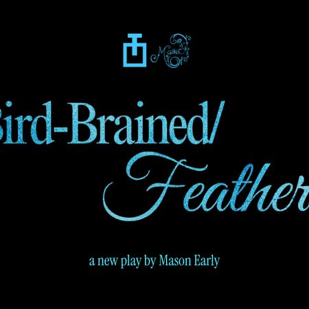 Bird-Brained/Feathers poster