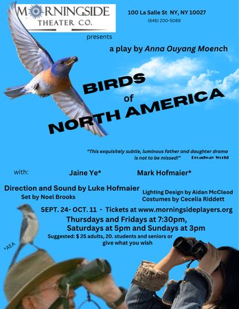 Birds of North America poster
