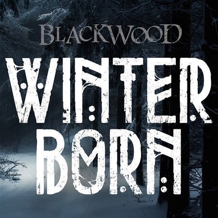 Black Wood: Winterborn poster