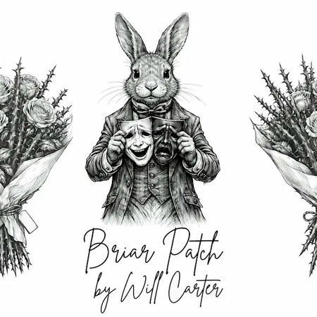 Briar Patch poster