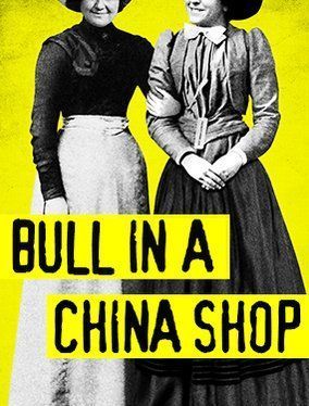 Bull in a China Shop poster