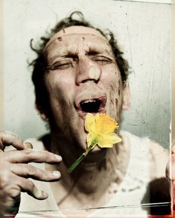 Cleansed poster