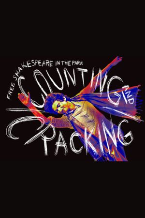 Counting and Cracking poster