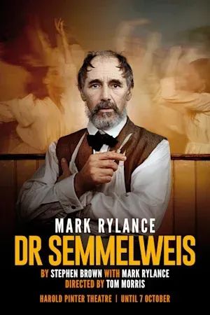 Dr Semmelweis poster