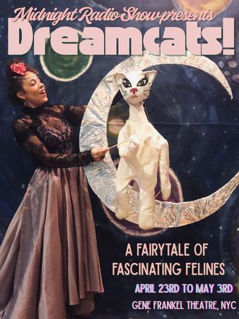 Dreamcats! poster