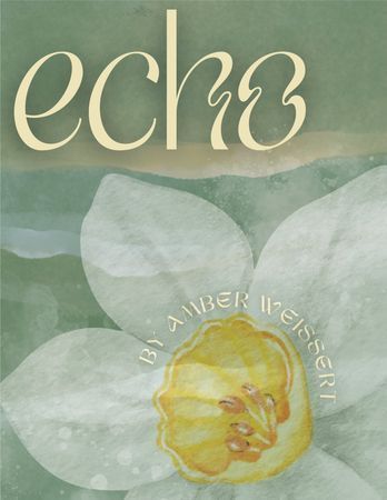 Echo poster