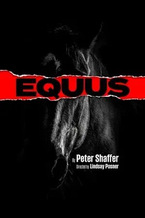 Equus poster