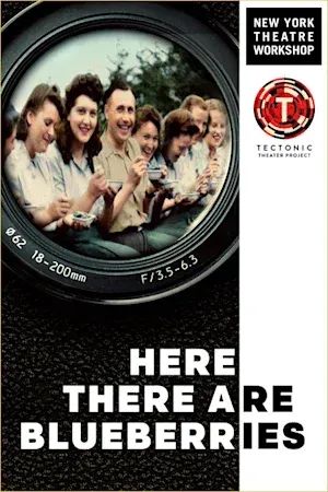 Here There Are Blueberries poster