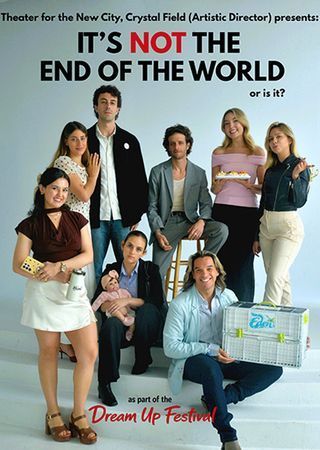 It's Not the End of the World poster