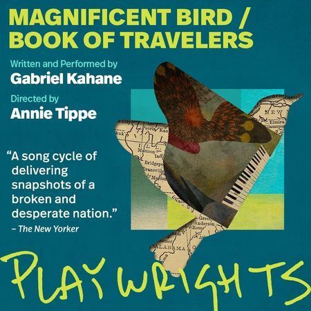 Magnificent Bird poster