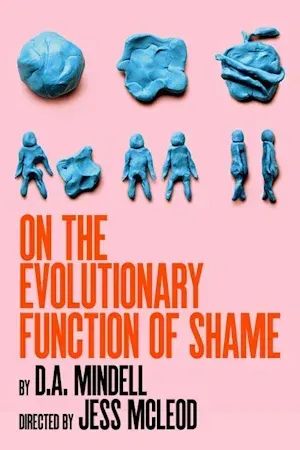 On the Evolutionary Function of Shame poster
