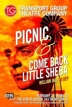 Picnic poster