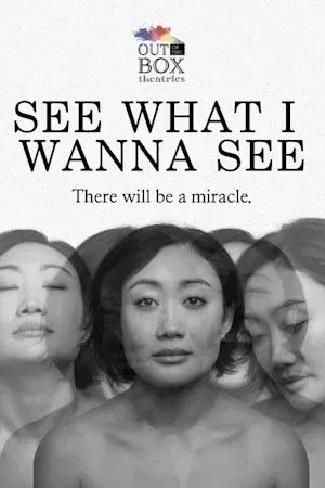 See What I Wanna See poster