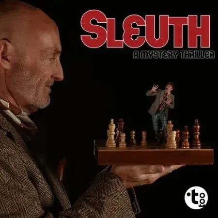 Sleuth poster