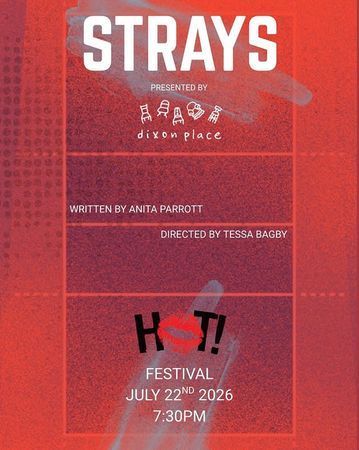 strays poster