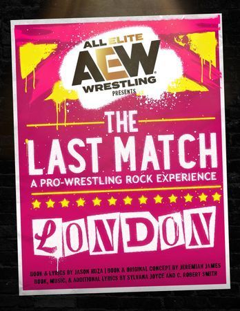 The Last Match: A Pro-Wrestling Rock Experience poster