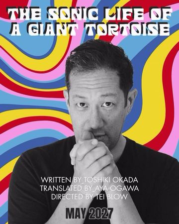 The Sonic Life of a Giant Tortoise poster