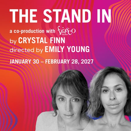 The Stand In poster